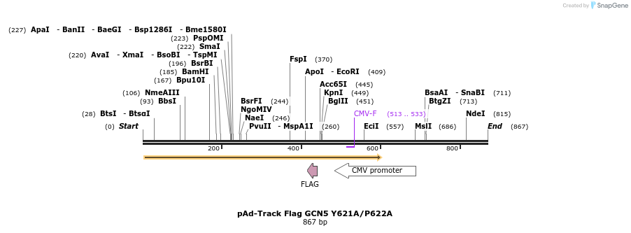 20310_map