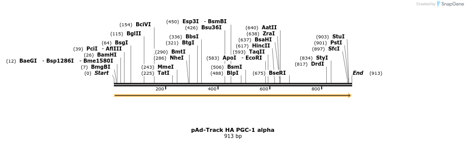 20312_map