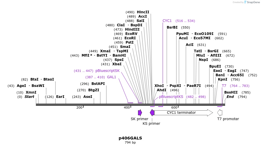 20313_map