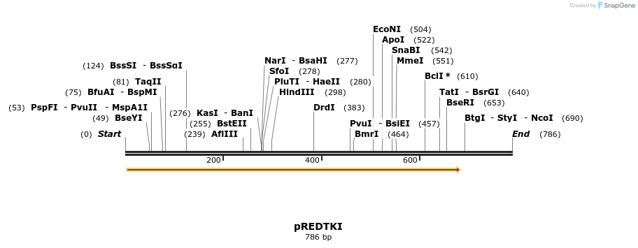 203135_map