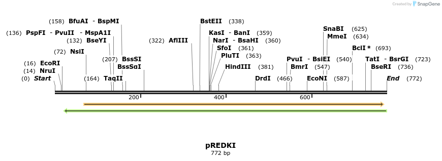 203136_map