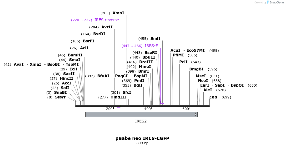 20315_map