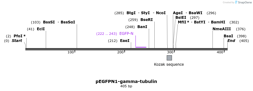 203153_map