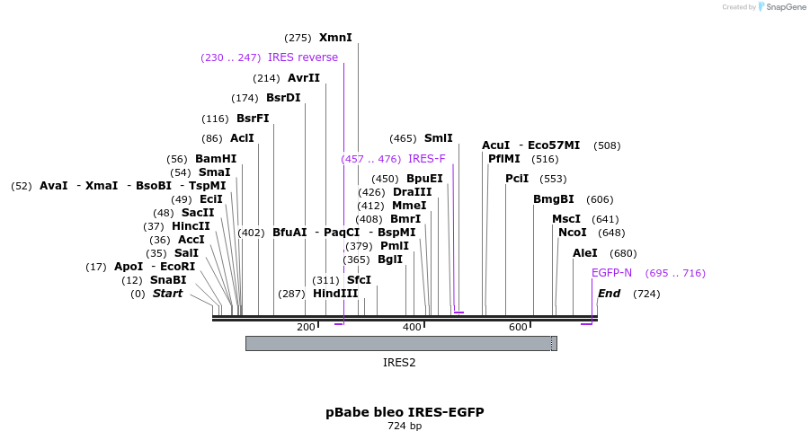 20316_map