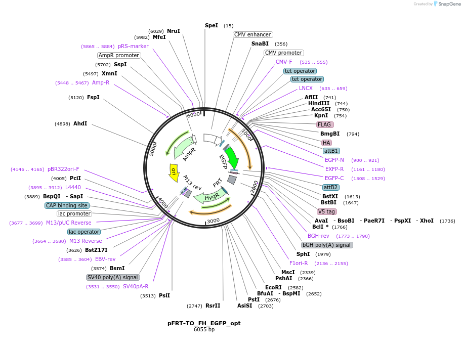203184_map