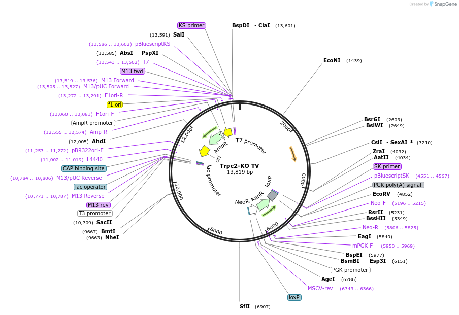 203197_map