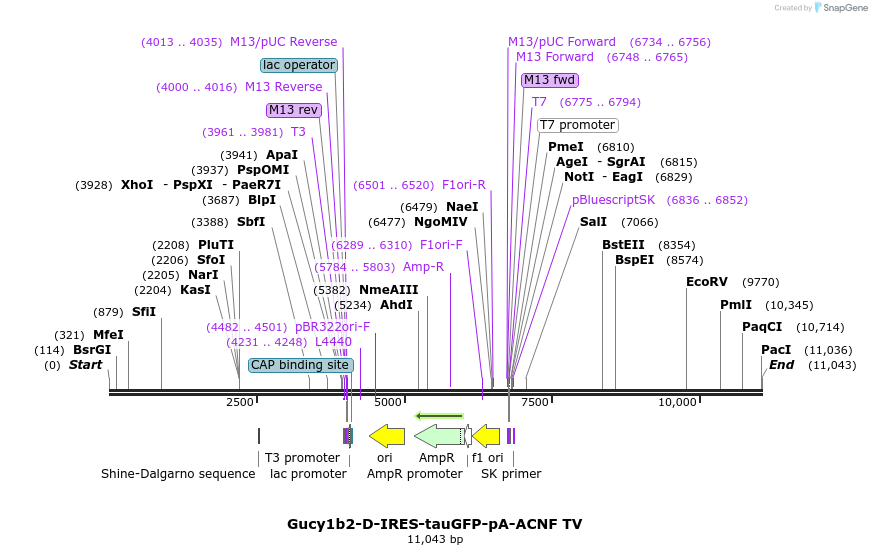 203202_map