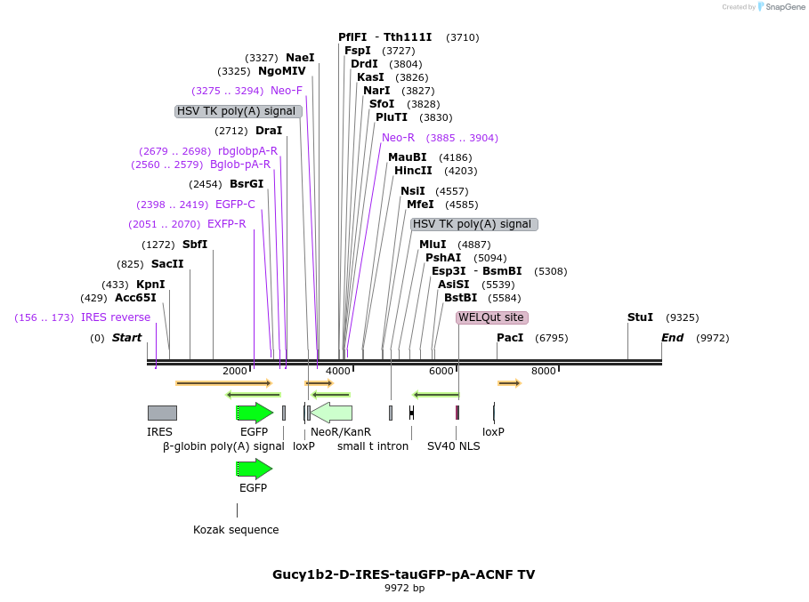 203203_map