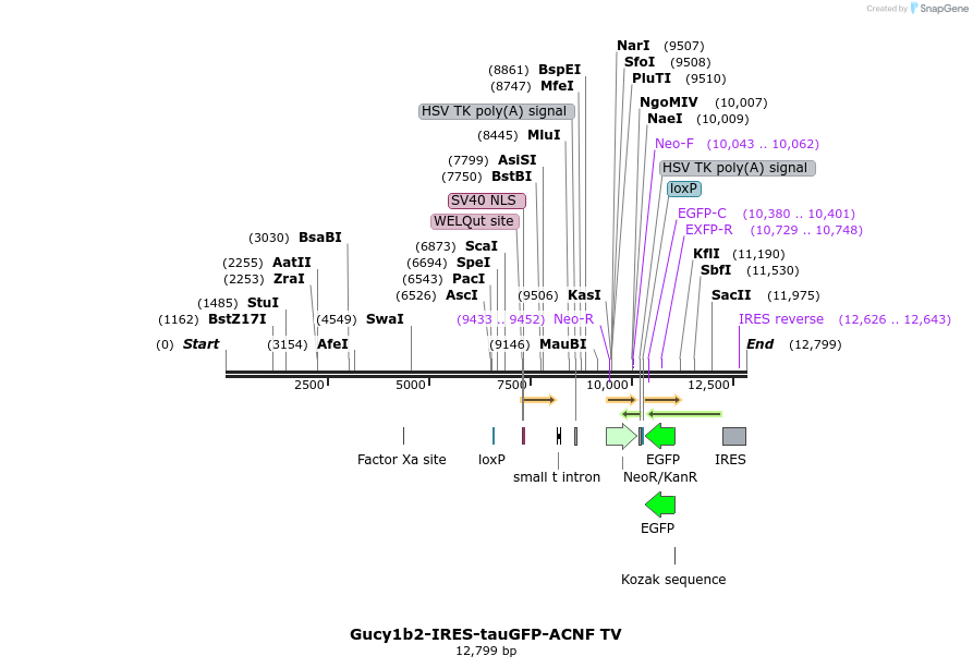 203207_map