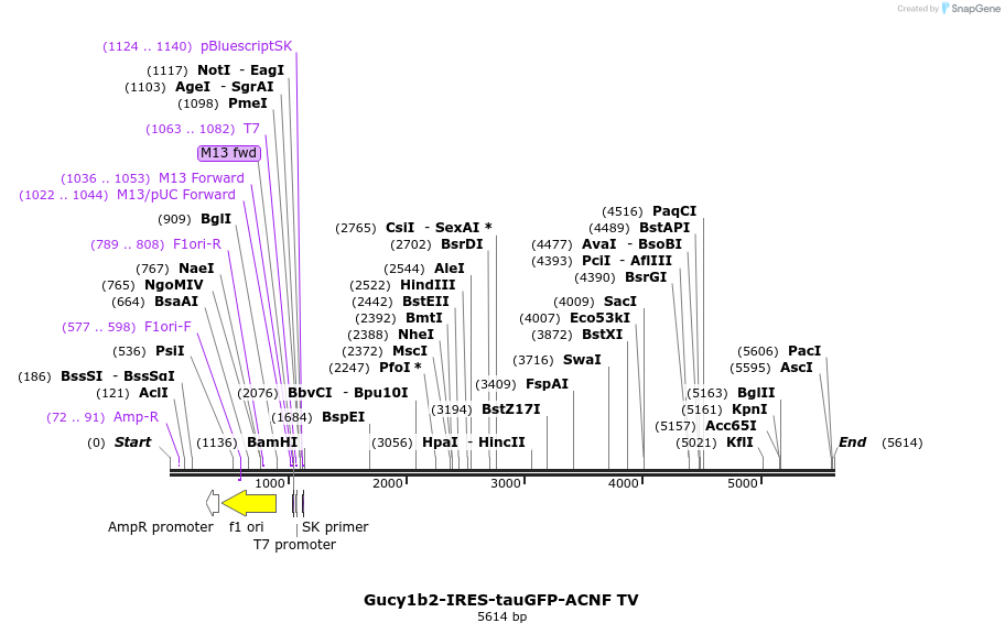 203208_map