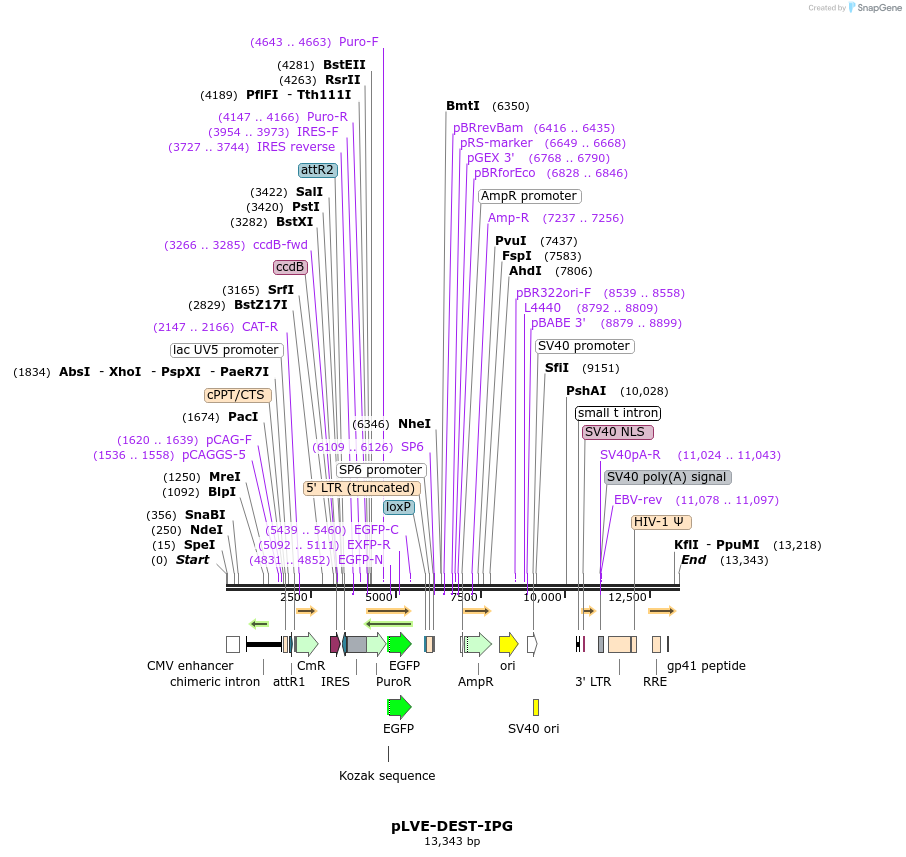 203227_map