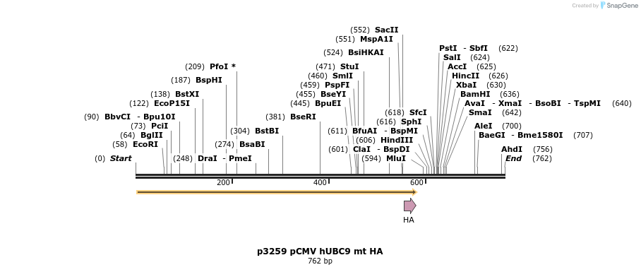 20324_map
