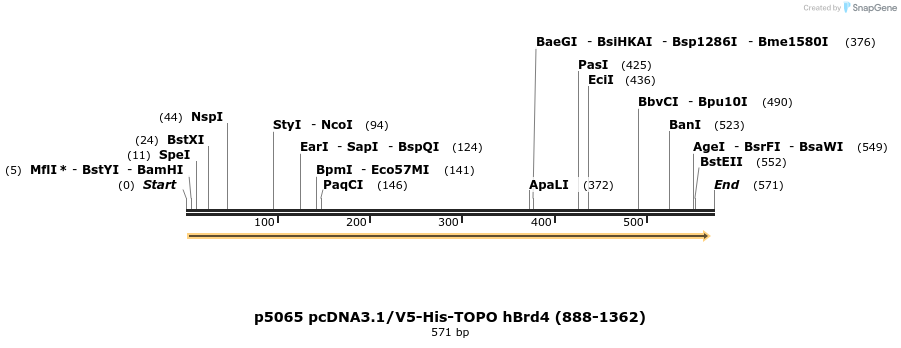 20327_map