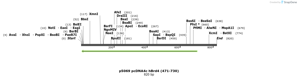 20329_map
