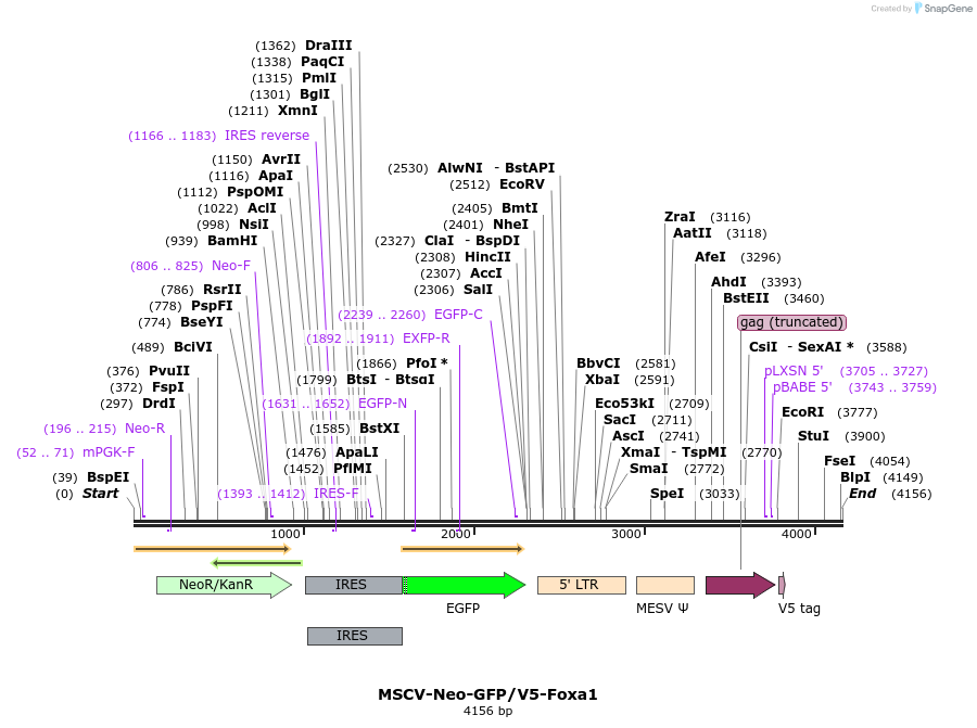 203299_map