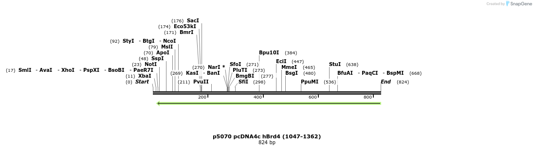 20330_map