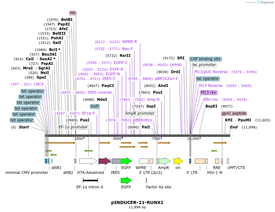203300_map