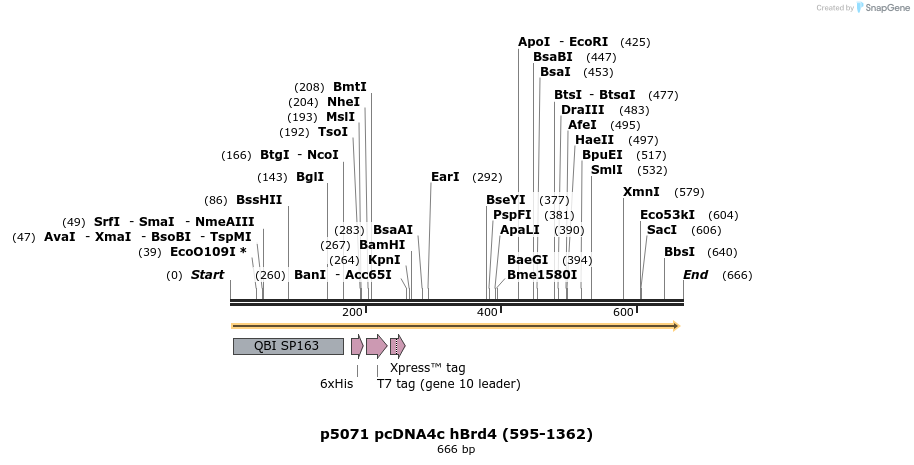 20331_map
