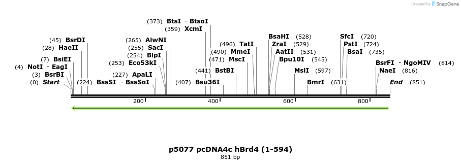 20333_map