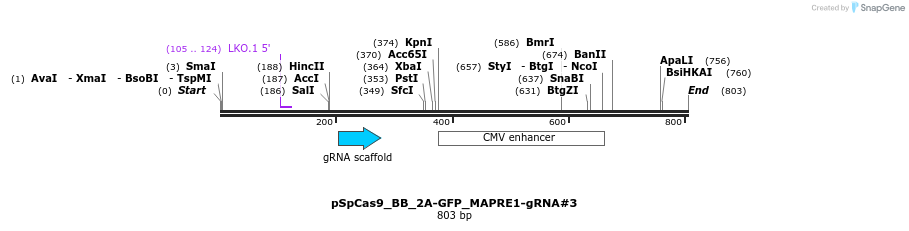 203334_map