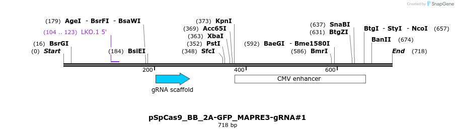 203341_map
