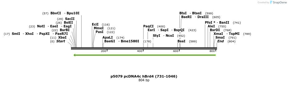 20336_map