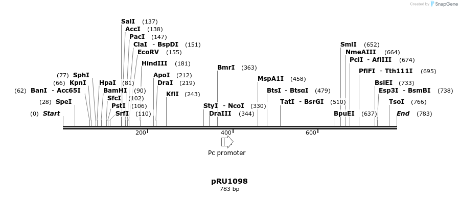 20342_map