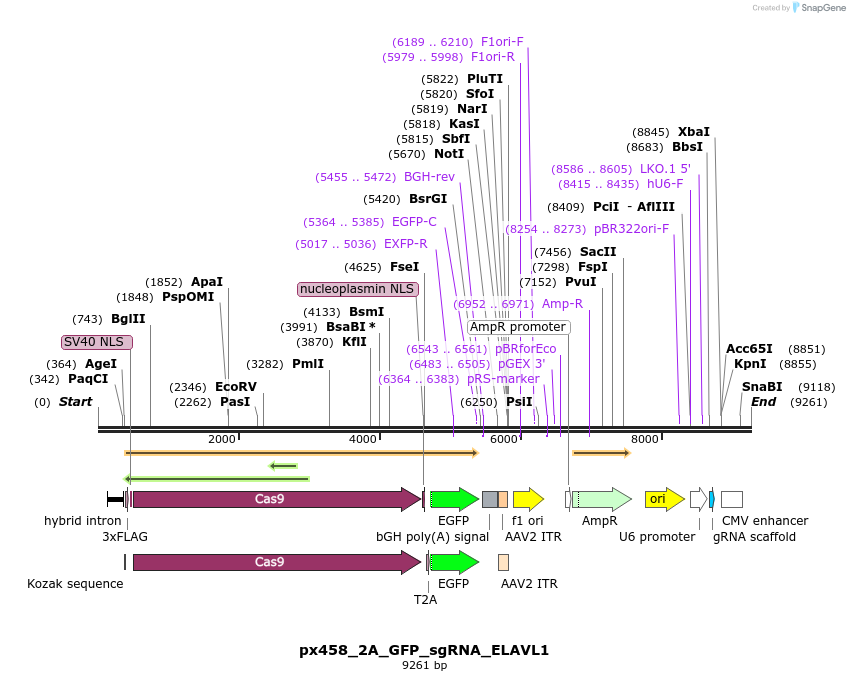 203420_map