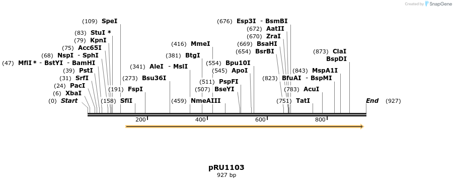 20346_map