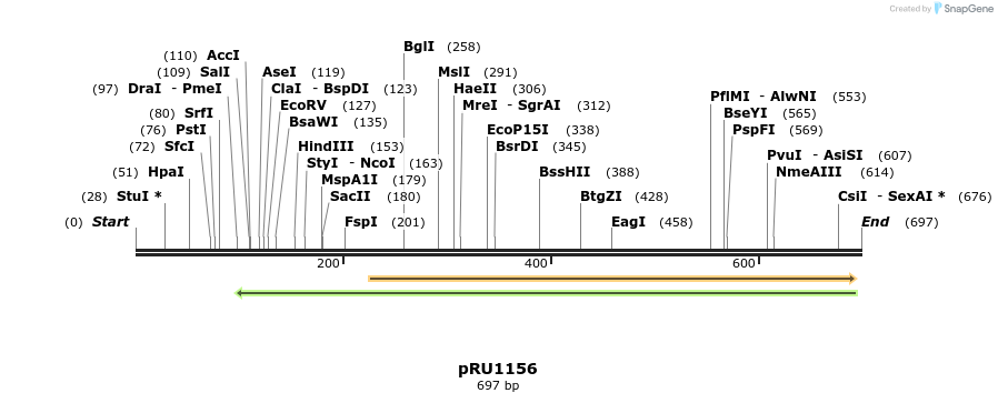 20352_map