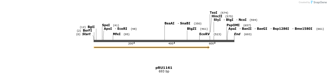 20353_map