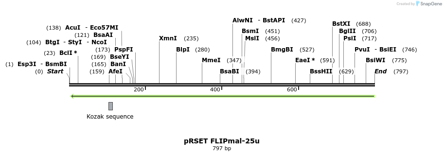 20356_map
