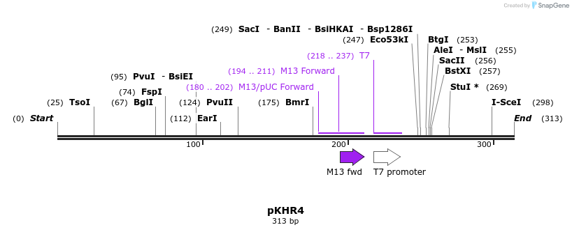 203587_map