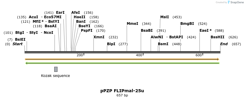 20359_map