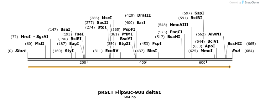 20360_map
