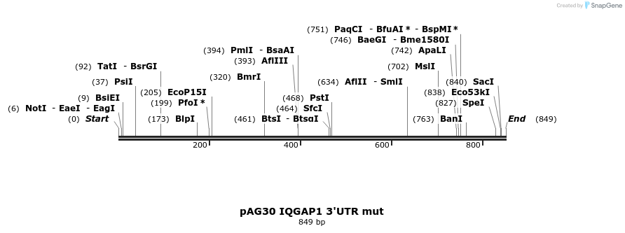 20362_map
