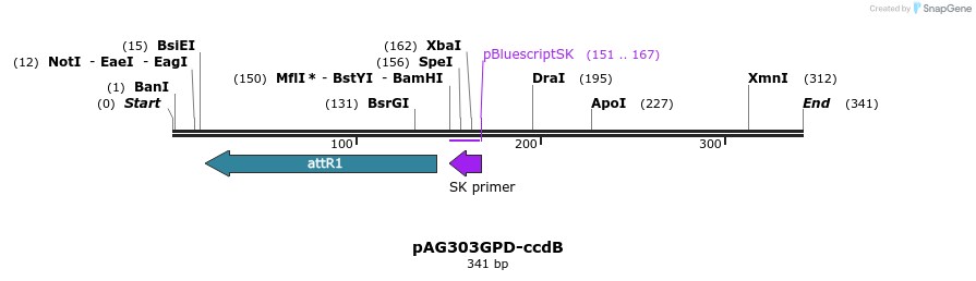 20368_map