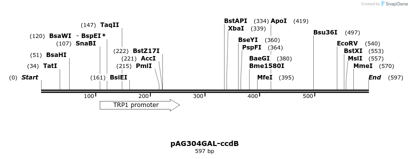 20370_map