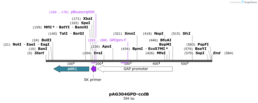 20374_map