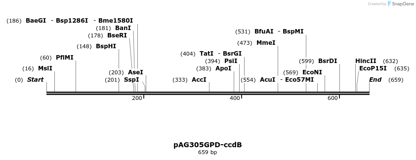 20379_map