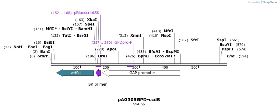 20380_map