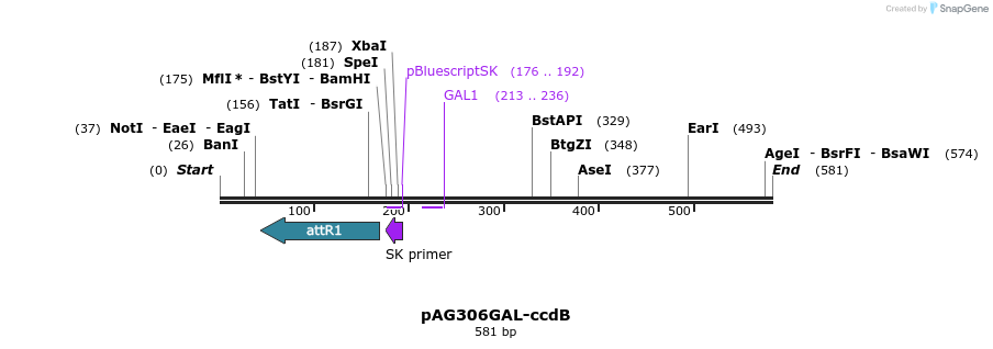 20383_map