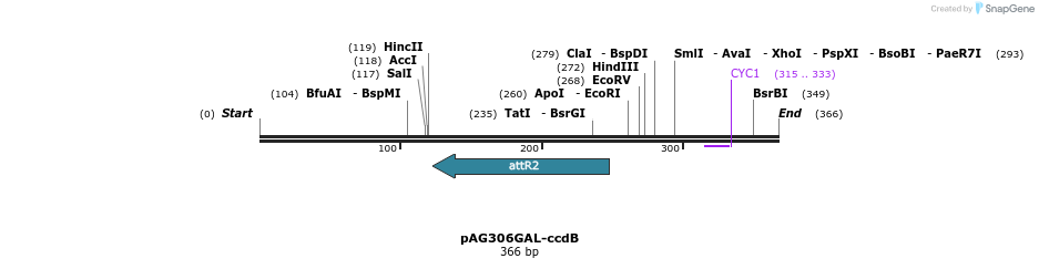 20384_map