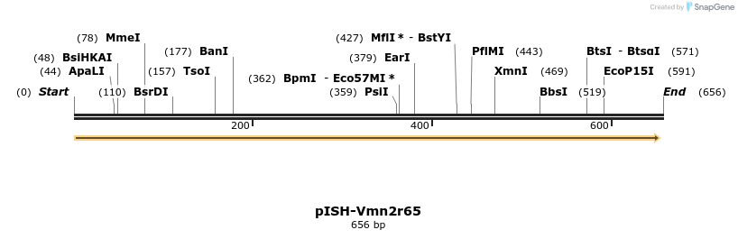 203890_map