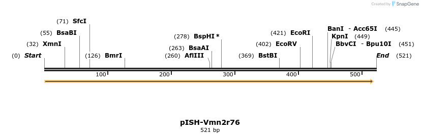 203891_map