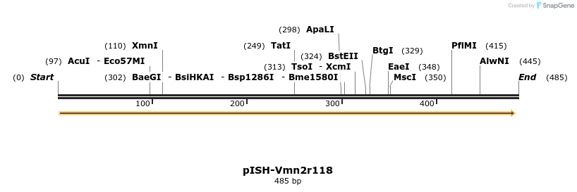 203893_map