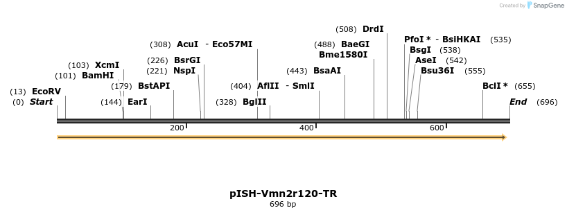 203894_map
