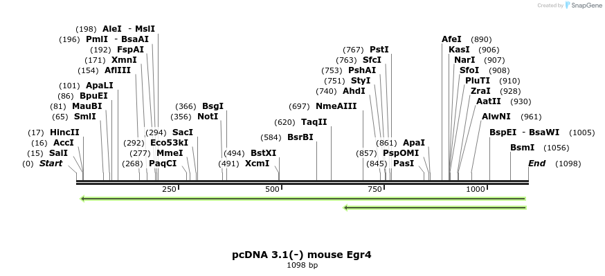 203908_map