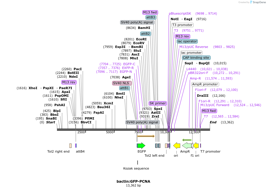 203910_map