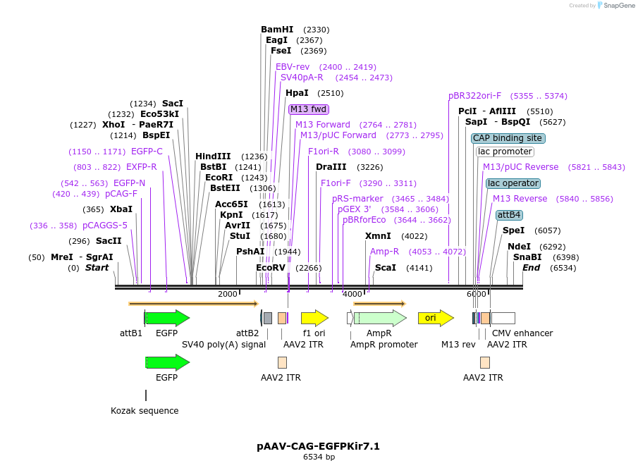 203924_map